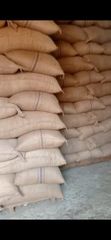 Cocoa Beans – product photo 2, product detail gallery