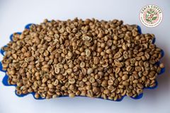 ROBUSTA AND ARABICA COFFEE BEANS - Image 2