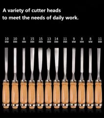 Professional 12PCS/Set Manual Wood Carving Hand Chisel Tool Set - Image 3