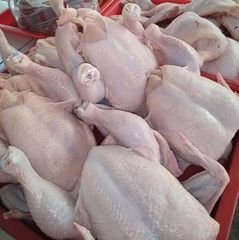 Frozen Whole Chicken/1 Carton Farm Fresh Frozen Whole Chicken | 66 Cartons per tonnes – product photo 4, product detail gallery