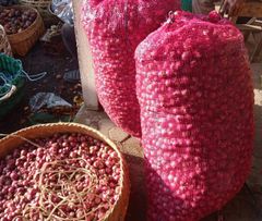 Fresh Red Onion - Image 3