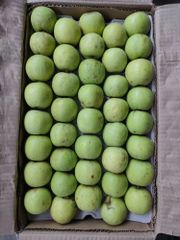 A Grade Golden Apple, Packaging Type: Carton, Packaging Size: 20 - Image 1