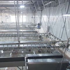 Automatic Metal Electroplating Production Poultry Splaughtering Line - Image 5