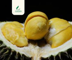 High Quality Monthong Durian from Vietnam Wholesale Fresh Durian Premium Fresh Thai Durian Monthong Products - Image 4