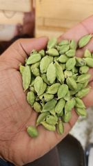 GREEN CARDAMOM – product photo 2, product detail gallery