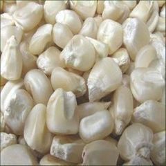 Best Quality white corn for human and animal feed cheap prices south africa sweet corn - Image 5
