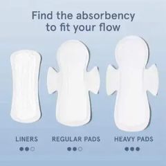 Sustainable PLA Sanitary Napkins Factory - Image 4