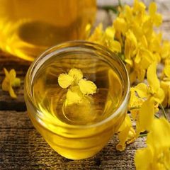 Pure Refined Rapeseed Oil Designed For Frying Baking And Food Preparation With A Mild Taste Light Texture - Image 2