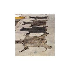 Premium donkey hides available in bulk ideal for leather manufacturers and tanneries - Image 2