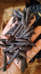 Black long pepper – product photo 3, product detail gallery