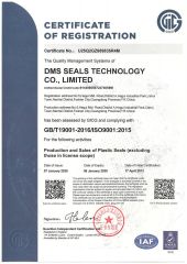 ISO9001 certificate for plastic seals certificate from DMS SEALS TECHNOLOGY CO., LIMITED