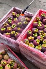 Fresh Fruits - Image 2