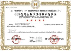 CREDIT EXAMPLE CERTIFICATE certificate from Ruian Zhenbang Printing Machinery Co., Ltd.