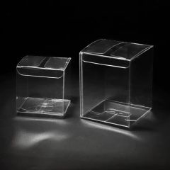 Customized Clear Pet Plastic Storage Boxes Plastic Retail Packaging Box - Image 2
