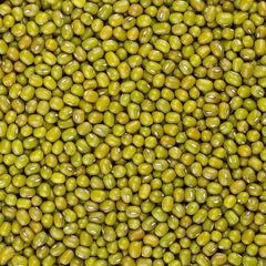 Premium Green Mung Beans Bulk Sale Fresh Green Mung Beans High Quality Healthy Protein Rich Natural Beans - Image 4