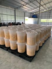 No Added Sugar Cold-Dried Mango Slices Water-Preserved Naturally Sweet Chewy Tropical Fruit Snack Bulk Wholesale Vietnam - Image 3