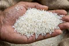IRRI-6 LONG GRAIN WHITE RICE 10% Broken - Pakistan Origin - Image 1