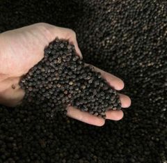 Black pepper 550GL – product photo 3, product detail gallery