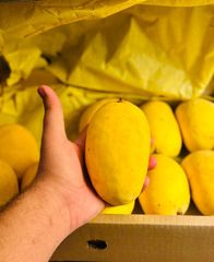 Fresh Mango – product photo 2, product detail gallery