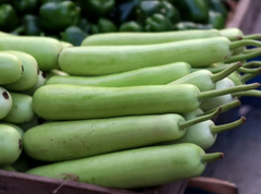 Fresh Bottle Gourd - Image 2