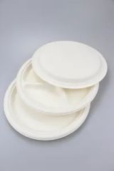 Disposable Bagasse Plate Biodegradable Compostable Sugarcane Tableware Plate - Image 5