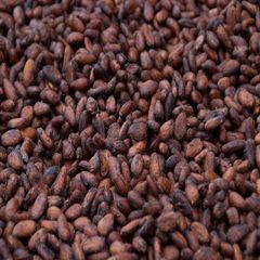 Cocoa Beans – product photo 5, product detail gallery