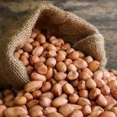 Groundnut - Image 2