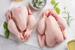 Premium Quality Halal Frozen Whole Chicken for Export – product photo 1, product detail gallery