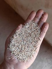 Premium Natural Sesame Seeds – Nigerian Origin – product photo 1, product detail gallery