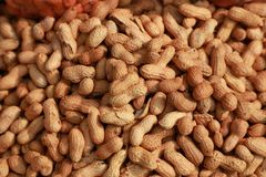 Peanuts Shelled Kernels For Nutritious Snacks Bakery Recipes Confectionery Production And Everyday Food Preparation - Image 4