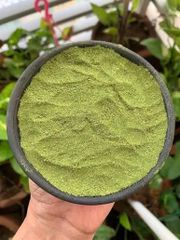 Premium Indian Moringa Leaves Powder – Export Quality - Image 1