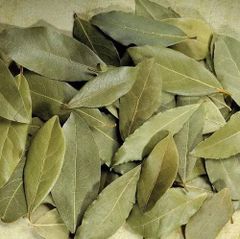 Bay Leaf - Image 1