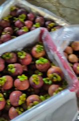 Fresh Fruits - Image 4