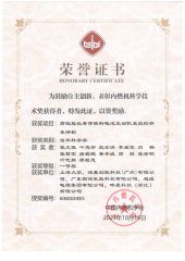 CSICE Natural Science Award certificate from H2E Technologies Co., Ltd.