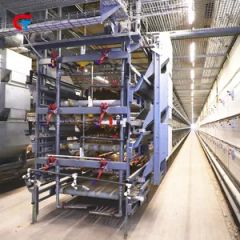 Factory Price Automatic Good Quality Chicken Cage Poultry Feeding Equipment - Image 4