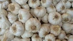 Fresh Indian Aromatic Garlic – product photo 1, product detail gallery