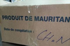 MAURITANIA FISH - Image 1