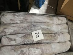 Frozen Octopus - Image 2