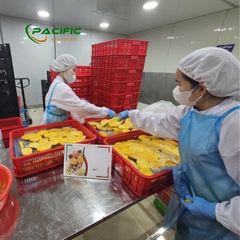 Frozen Mango Premium Quality Wholesale – product photo 7, product detail gallery