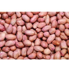 High quality Raw Bold peanuts 40/50 Nature 100% Organic Raw Peanuts Groundnut Healthy Export from India - Image 3