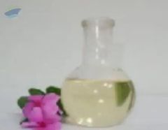 Rbd Coconut Oil - Image 1