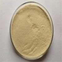 Hilsa Fish - Image 1