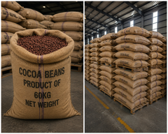 Premium Cocoa Beans – Wholesale Bulk Supply - Image 2