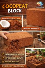 Premium cocopeat block - Image 2