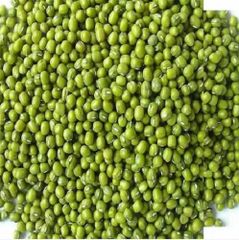 High Quality Organic Pure Green Mung Beans Whole Dried Style Bulk Packaging Cheap Wholesale Price - Image 1
