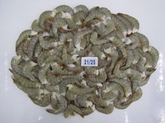 Company – thumbnail 1 of 30, supplier detail gallery
