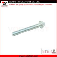 Customized Hexagon Socket Flower Shaped Head Screw Zinc Plated - Jiaxing Voda Fastener Co., Ltd.