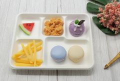 Hot Sale Rectangle 5-Compartment Plates Sugarcane Bagasse Food Tray - Image 4