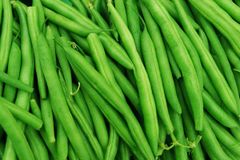 Ooty Green Beans (Export Quality from India) – product photo 1, product detail gallery
