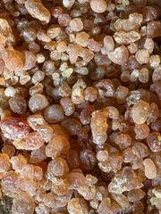 GUM Arabic acacia Senegal - Image 2